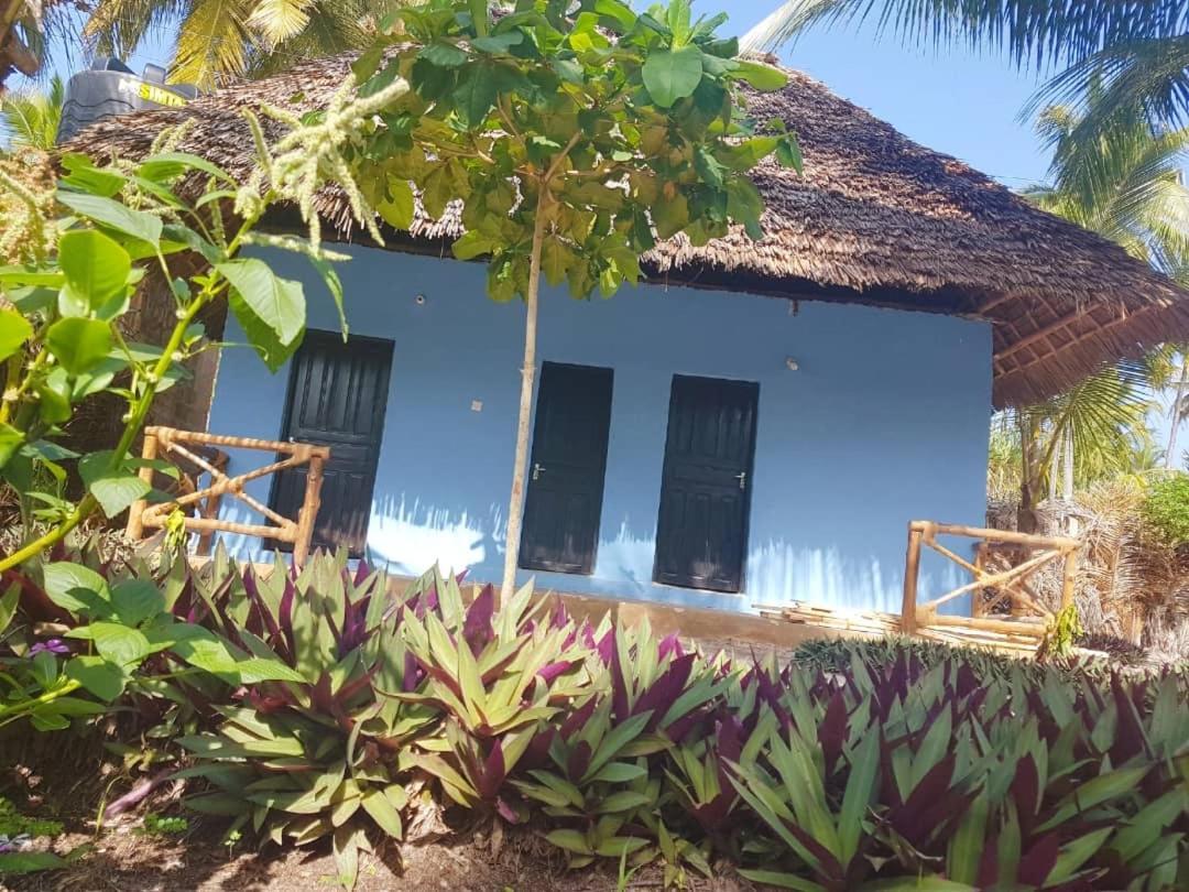 Dreams Of Mapacha Bed & Breakfast Michamvi Екстериор снимка